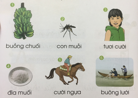 [Cánh điều] Giải Tiếng Việt 1 tập 1 bài 40: Âm, âp