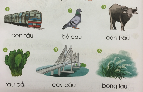 [Cánh điều] Giải Tiếng Việt 1 tập 2 bài 107: au, âu