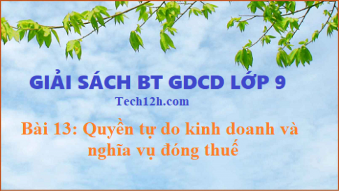 Giải SBT GDCD 9 bài 13: Quyền tự do kinh doanh và nghĩa vụ đóng thuế