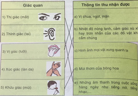 Soạn tin học VNEN 6 bài 1: Thông tin và tin học