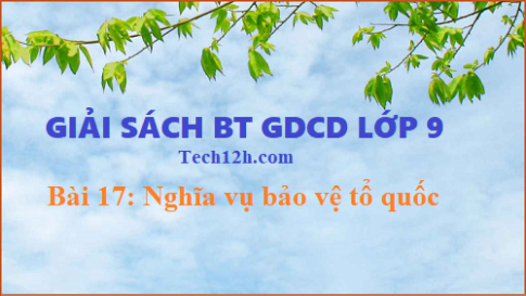 Giải SBT GDCD 9 bài 17: Nghĩa vụ bảo vệ tổ quốc