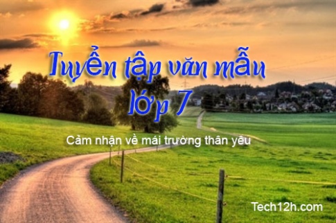 Bài văn mẫu lớp 7: Cảm nghĩ về mái trường thân yêu