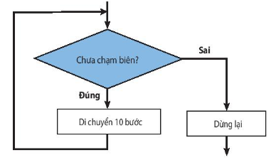 [Kết nối tri thức] Giải tin học 6 bài 16: Các cấu trúc điều khiển 