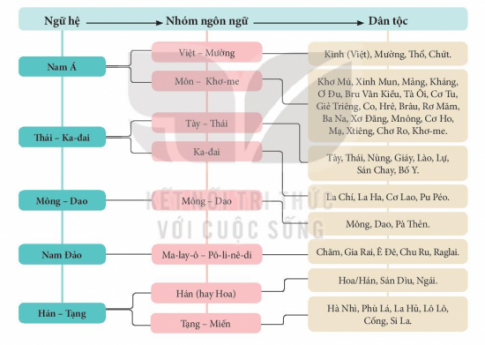 Sơ đồ các ngữ hệ nhóm ngôn ngữ ở Việt Nam và một số dân tộc thuộc từng nhóm ngôn ngữ đó