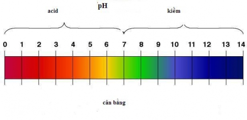 Giải bài 3 Sự điện li của nước. pH. Chất chỉ thị axit bazơ