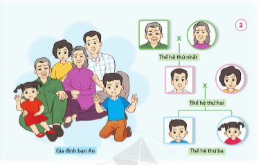 [Cánh diều] Giải tự nhiên và xã hội 2 bài 1: Các thế hệ trong gia đình