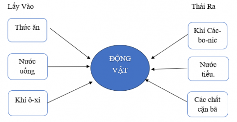 Hoàn thiện sơ đồ thể hiện sự trao đổi nước, không khí, thức ăn của động vật với môi trường.