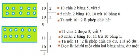 Giải bài phép chia hết và phép chia có dư