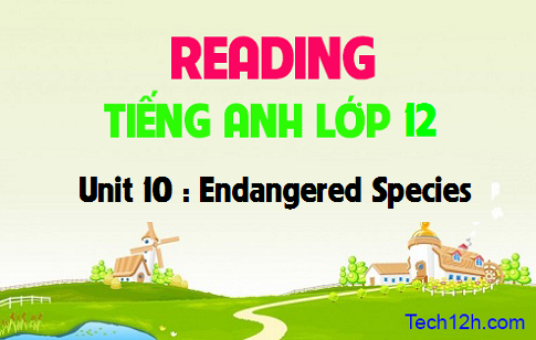 Reading Unit 10 : Endangered Species