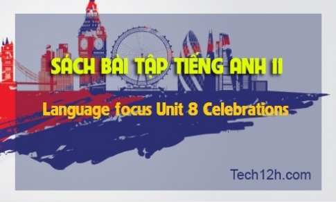 SBT tiếng Anh 11: Language focus Unit 8 Celebrations