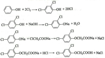 Để điều chế 2,4-dichlorophenoxyacetic acid (2,4-D) dùng làm chất diệt cỏ, chất kích thích sinh trưởng thực vật, người ta cho phenol tác dụng với chlorine, sau đó cho tác dụng với NaOH;