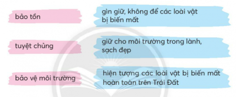 [Chân trời sáng tạo] Giải tiếng việt 2 bài 4: Hừng đông mặt biển