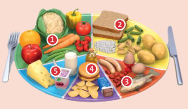 [Friends plus] Giải tiếng Anh 6 unit 5 Food and Health - CLIL