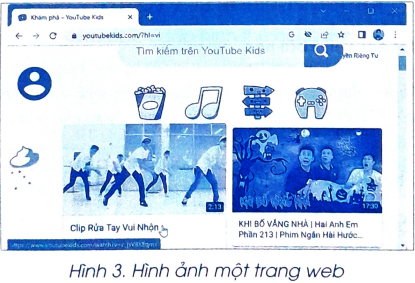 Có những loại thông tin nào sau đây trên trang web ở Hình 3? 