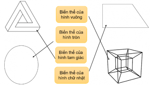 Nối hình ảnh với ý đúng. 