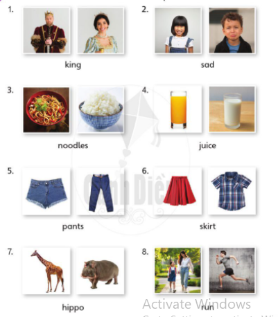 [Cánh Diều] Explore English Unit 1-4 Review