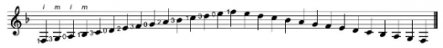 1. Đàn gam Pha trưởng