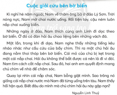 [Chân trời sáng tạo] Giải tiếng việt 2 bài 6: Cuộc giải cứu bên bờ biển