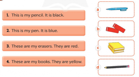 Read and match