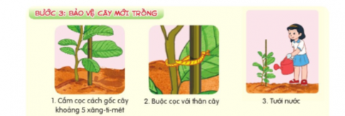  Đọc bạn hướng dẫn có hình minh họa dưới đây