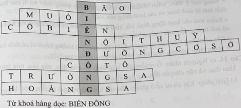 Giải các ô chữ sau theo gợi ý.