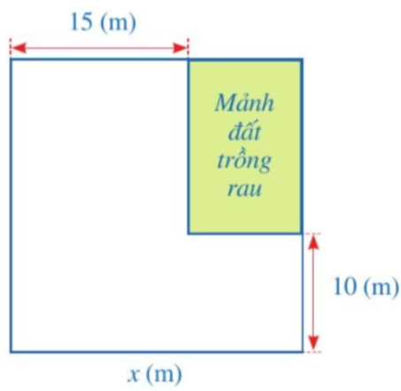 Câu 5. Khu vườn của nhà bác Xuân có dạng hình vuông. Bác Xuân muốn dành một mảnh đất có dạng hình chữ nhật ở góc khu vườn để trồng rau (Hình 4). Biết diện tích của mảnh đất không trồng rau bằng 475 m2. Tính độ dài cạnh x(m) của khu vườn đó.