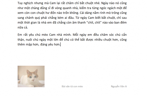 Hãy chọn một hình hay ảnh làm biểu tượng đại diện cho văn bản của em và gắn nó vào tiêu đề chân trang trong các văn bản của em