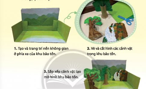 Quan sát và chỉ ra các bước tạo mô hình khu bảo tồn thiên nhiên từ giấy bìa theo gợi ý dưới đây: