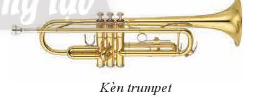 Tìm hiểu kèn trumpet và saxophone