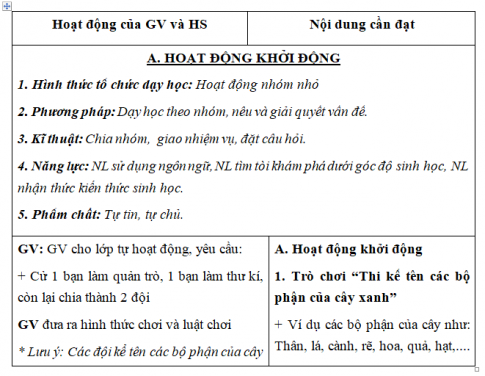 Giáo án VNEN bài Cơ quan sinh dưỡng của cây xanh (T1)