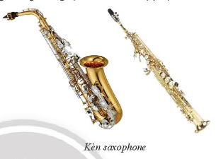 Tìm hiểu kèn trumpet và saxophone