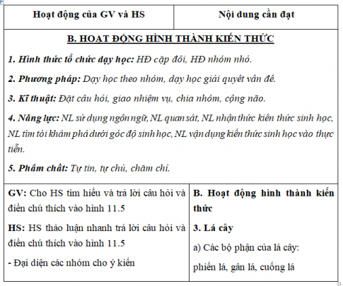 Giáo án VNEN bài Cơ quan sinh dưỡng của cây xanh (T2)