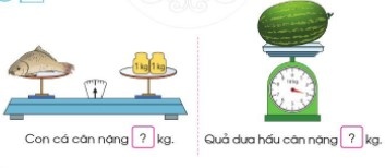 [Cánh diều] Giải toán 2 bài: Ki-lô-gam