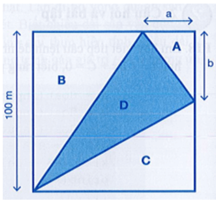 Một mảnh đất hình vuông có cạnh là 100 m