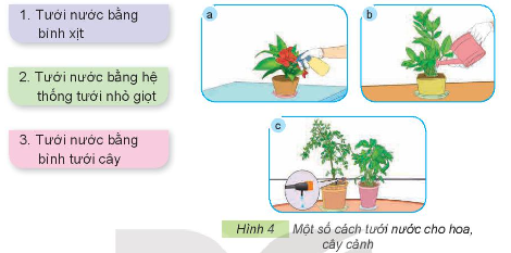 Em hãy sử dụng các thẻ dưới đây để gọi tên các cách tưới nước cho hoa, cây cảnh trong Hình 4 cho phù hợp