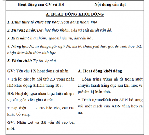 Giáo án VNEN bài: Mối quan hệ giữa gen và tính trạng (T2)