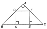 Xét tam giác ABC vuông cân tại A. Lấy trên cạnh BC hai điểm D, E sao cho BD = DE = EC. Lấy các điểm F, G lần lượt thuộc cạnh AC, AB sao cho FE, GD vuông góc với BC. Chứng minh tứ giác DEFG là một hình vuông.