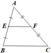 Cho tam giác ABC có BC = 13 cm. E và F lần lượt là trung điểm của AB, AC. Độ dài EF bằng: A. 13 cm. B. 26 cm. C. 6,5 cm. D. 3 cm.