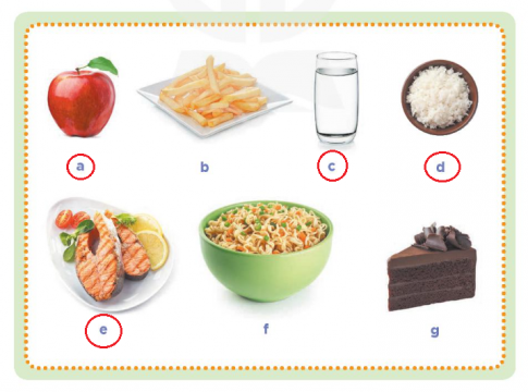 Circle the healthy foods answer key