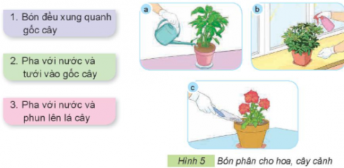 Em hãy sử dụng các thẻ dưới đây để gọi tên cách bón phân cho hoa, cây cảnh tương ứng với mỗi ảnh trong Hình 5