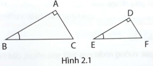 Giải phát triển năng lực toán 9 bài 2: Tỉ số lượng giác của góc nhọn