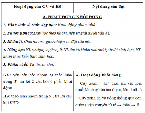 Giáo án VNEN bài Trao đổi nước và muối khoáng ở cây xanh (T1)