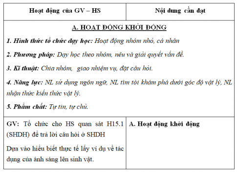 Giáo án VNEN bài Ánh sáng với đời sống sinh vật (T1)