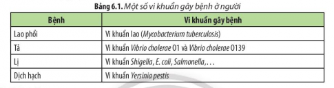 Đọc thông tin ở các Bảng 6.1, 6.2, 6.3 và 6.4, hãy kể tên những tác nhân đã từng gây nên bệnh dịch ở địa phương em.