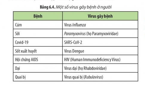 Đọc thông tin ở các Bảng 6.1, 6.2, 6.3 và 6.4, hãy kể tên những tác nhân đã từng gây nên bệnh dịch ở địa phương em.