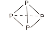  Phân tử P4 gồm 4 nguyên tử P liên kết với nhau bằng 6 liên kết đơn P-P.