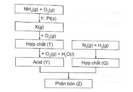 Bài 5.8: Sơ đồ quy trình dưới đây mô tả các bước trong quá trình sản xuất phân bón (Z). Hãy xác định các chất (X), (T), (Y), (Q), (Z). Viết các phản ứng hoá học xảy ra.