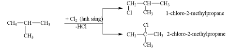 Hướng dẫn trả lời: