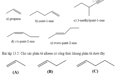 Hướng dẫn trả lời: