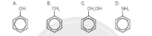 Bài 17.1: Phenol là hợp chất có chứa vòng benzene, công thức cấu tạo của phenol là: